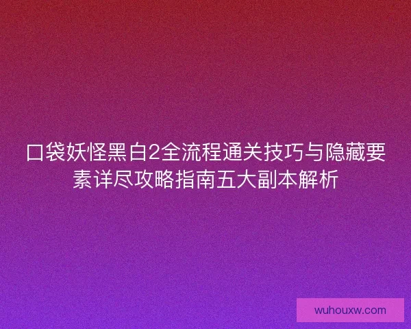 口袋妖怪黑白2全流程通关技巧与隐藏要素详尽攻略指南五大副本解析